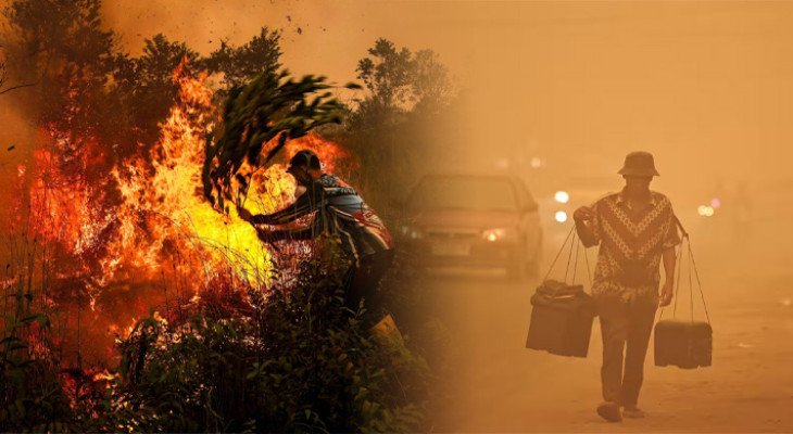 দাবানলের ধোঁয়ায় বিপর্যস্ত বিশ্বের সর্ববৃহৎ মুসলিম দেশ, ৩ হাজার ৫৬০ জনের মৃত্যু